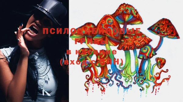 прущая мука Краснотурьинск