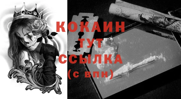 гидра Кукмор